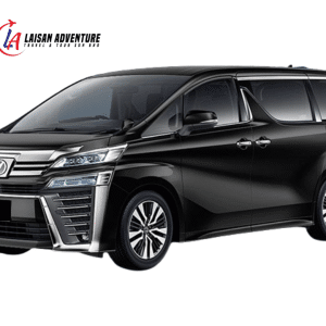 Toyota Vellfire zg
